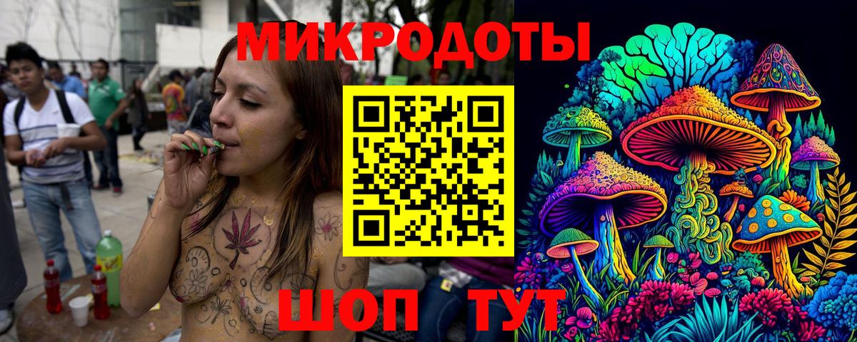 Псилоцибиновые грибы Psilocybe  Вход с VPN  Псилоцибиновые грибы Psilocybine cubensis  Ахтубинск 